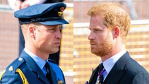 Prince Harry and william