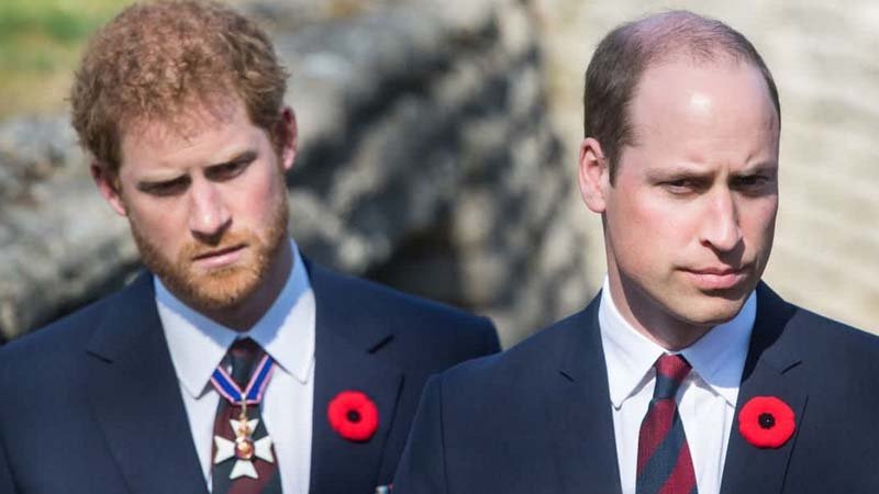 Prince Harry and Prince William