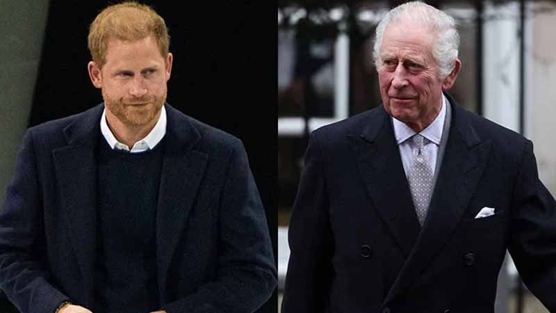 king charles and harry