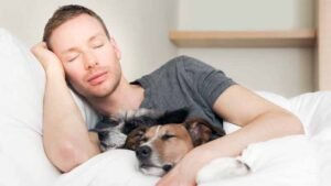 your dog's health and behaviour