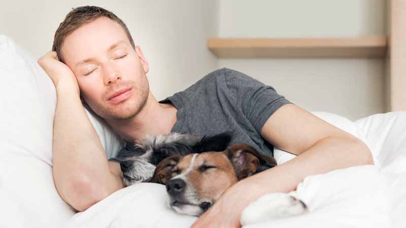 your dog's health and behaviour