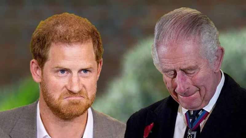 Prince Harry and King Charles